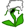 florges-white.png
