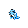 Squirtle (Y)