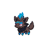 Le petit voleur (solo) Zorua