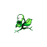 bellsprout.png