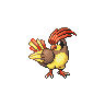 pidgeotto.png
